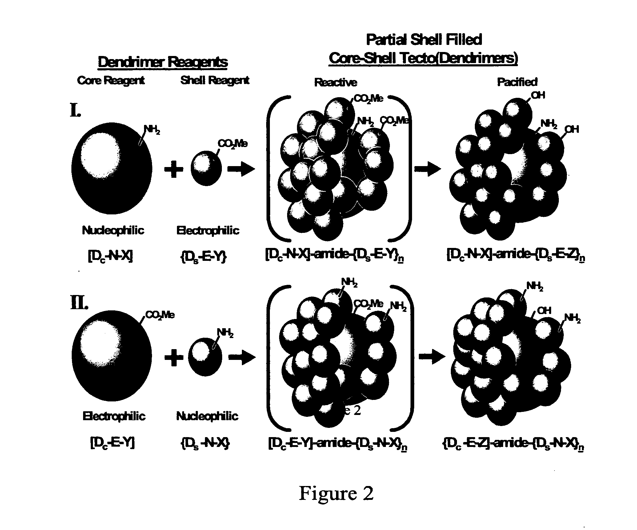 Delivery of Biologically Active Materials Using Core-Shell Tecto(Dendritic Polymers)