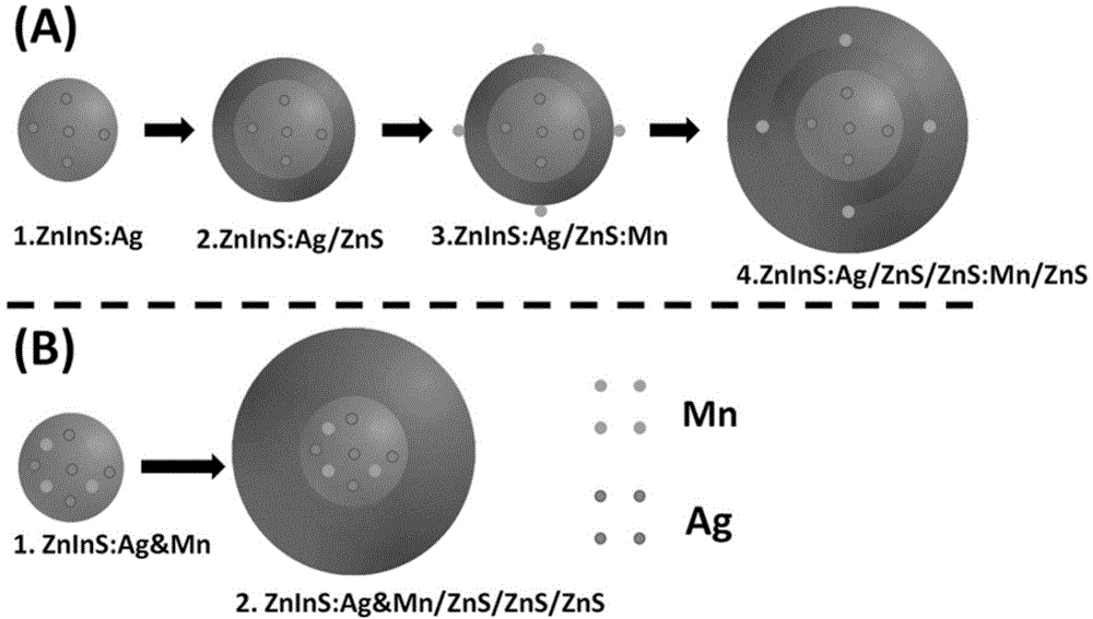 Preparation method for co-doped type and separately-coded type ZnInS/ZnS dual-emitter quantum dot