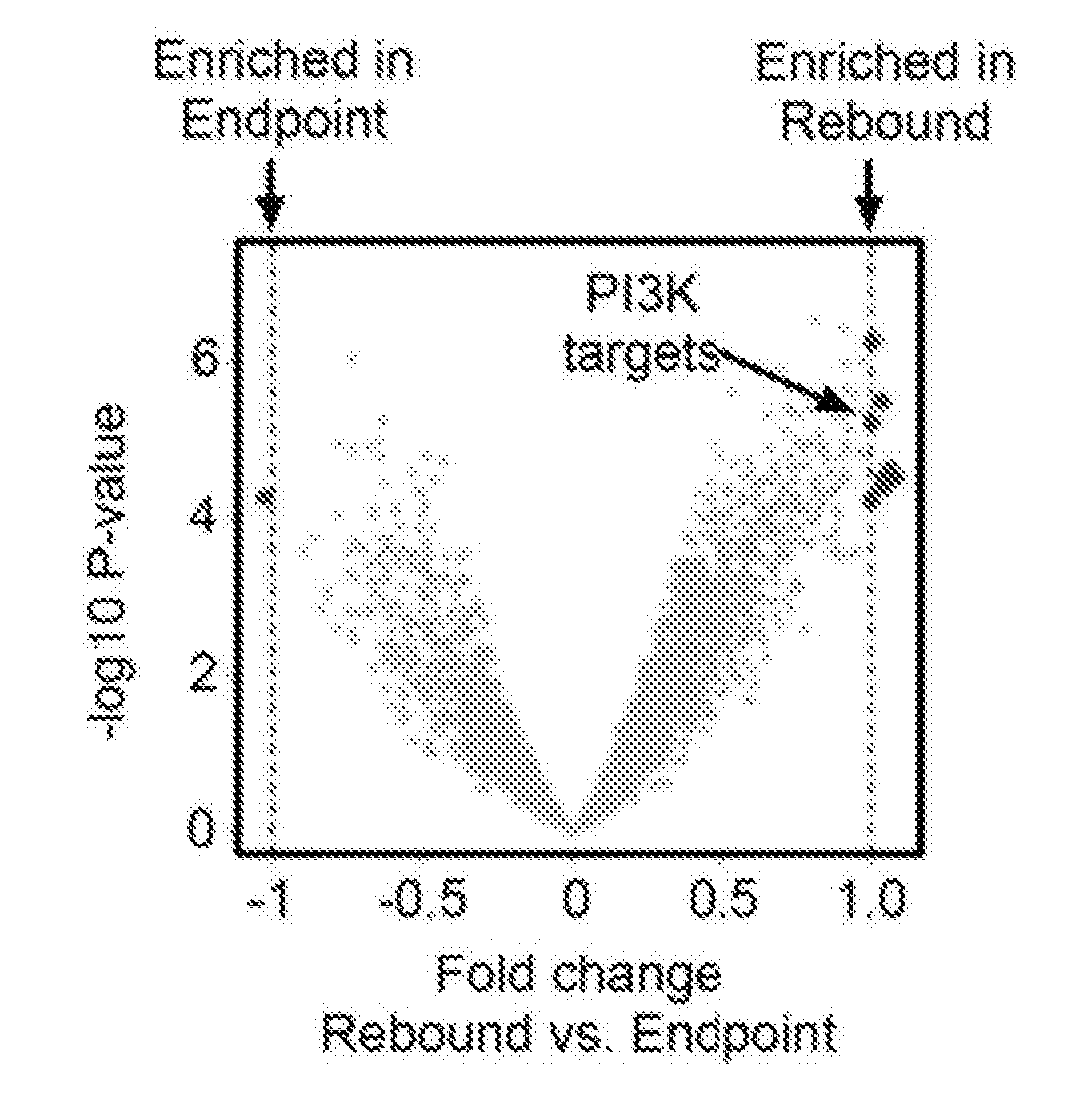 Compositions and methods for treatment of glioma