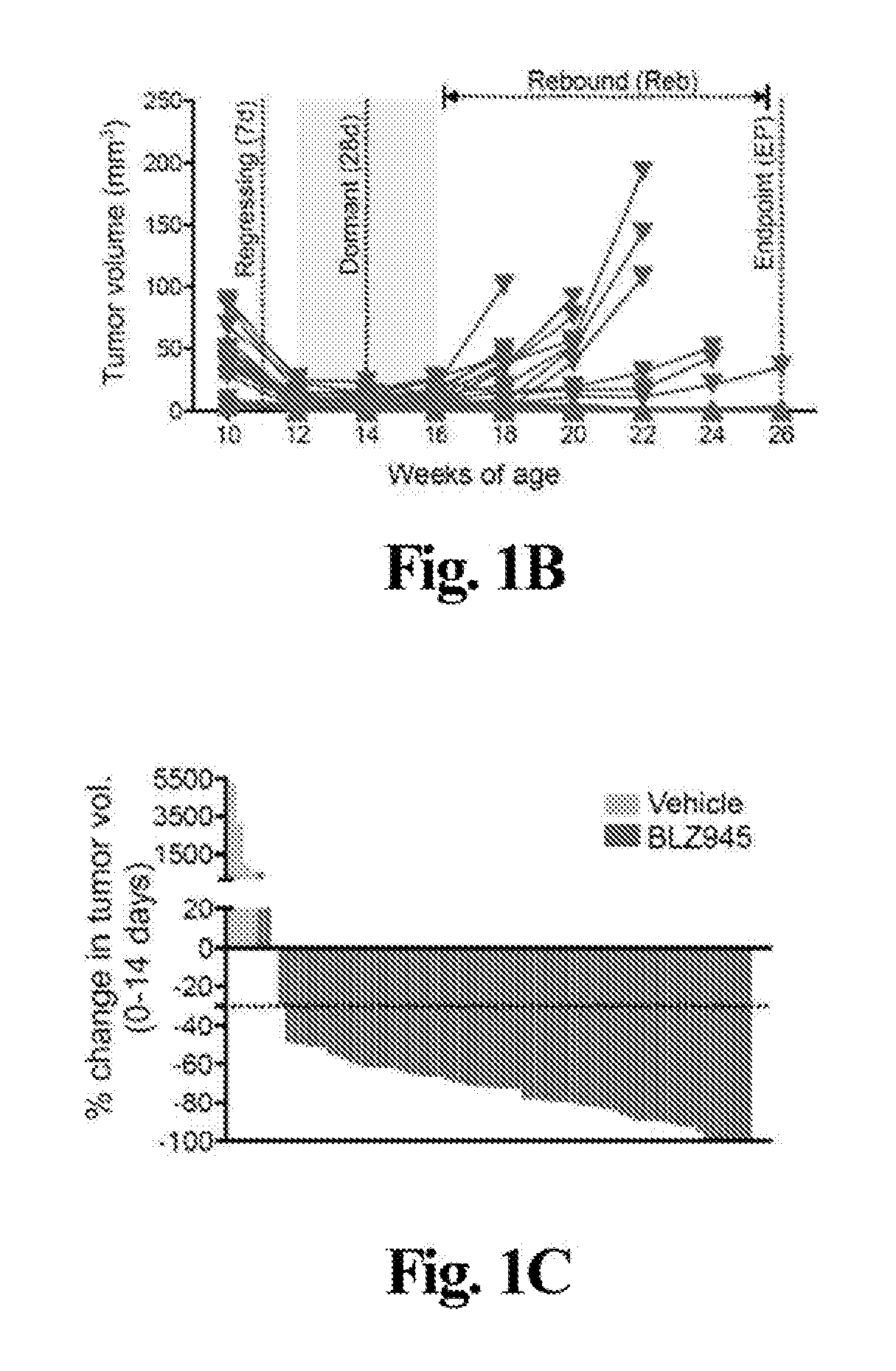 Compositions and methods for treatment of glioma