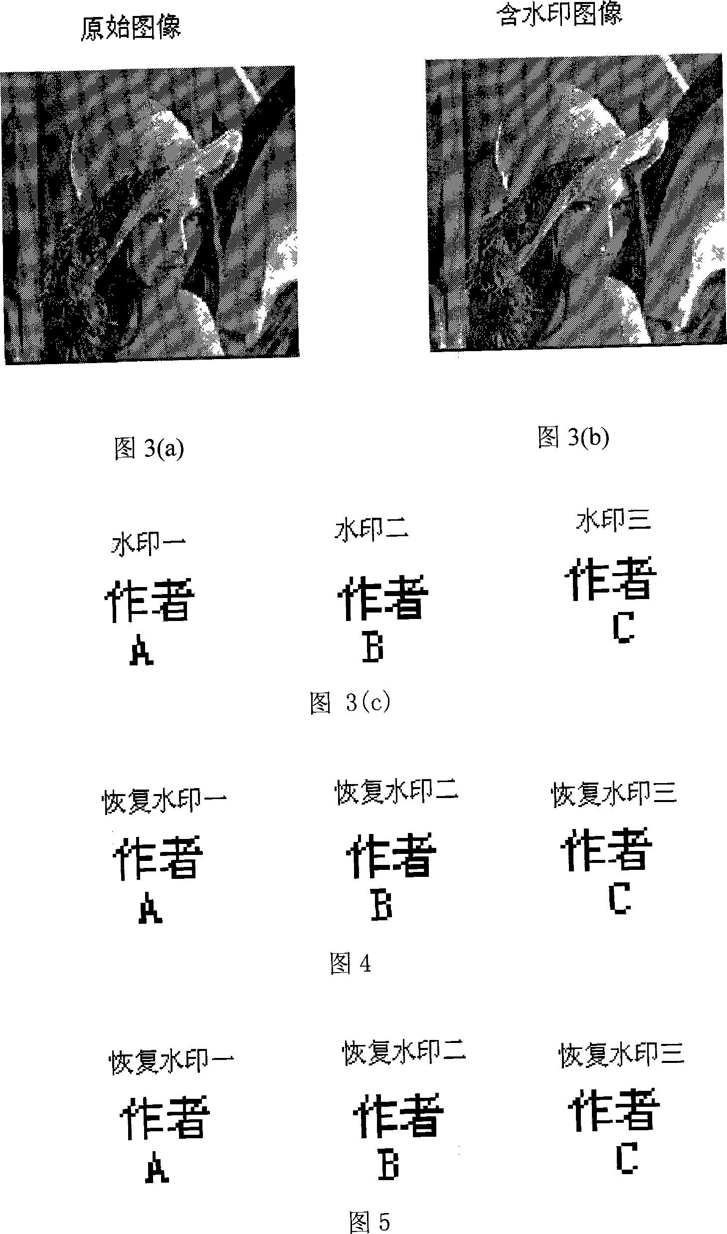 Digital watermark method of paralleled multiple robustnesses based on multiple copyright authentications