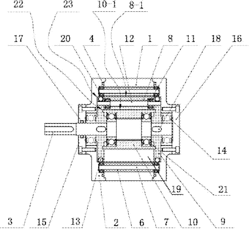 Spiraster-type rotation device, engine, pneumatic motor, and compressor