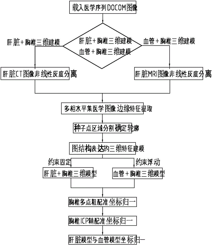 Human liver feature modeling and vascular model space normalization method