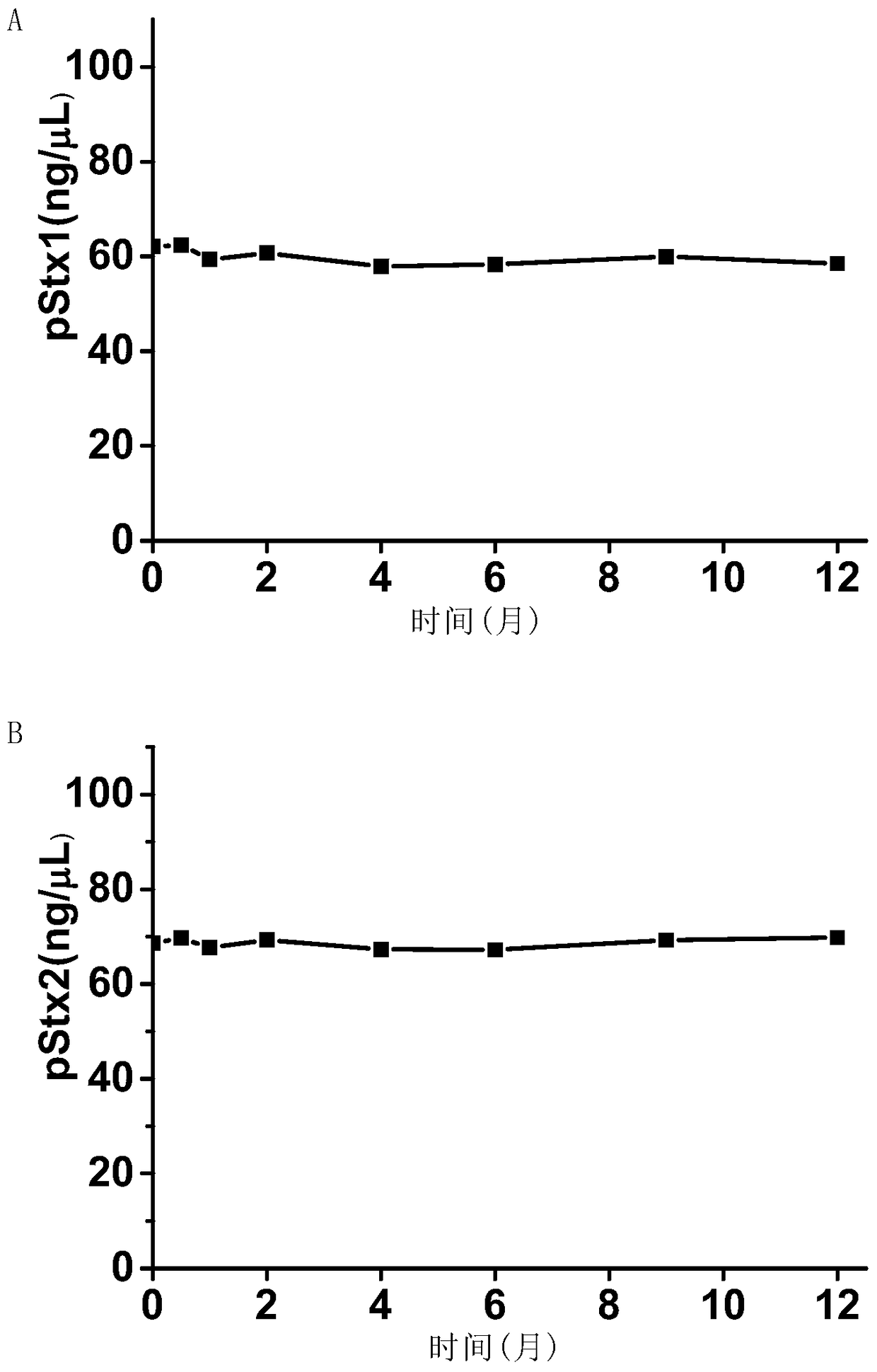 A plasmid standard molecule for detection of Shiga toxin-producing Escherichia coli and its application