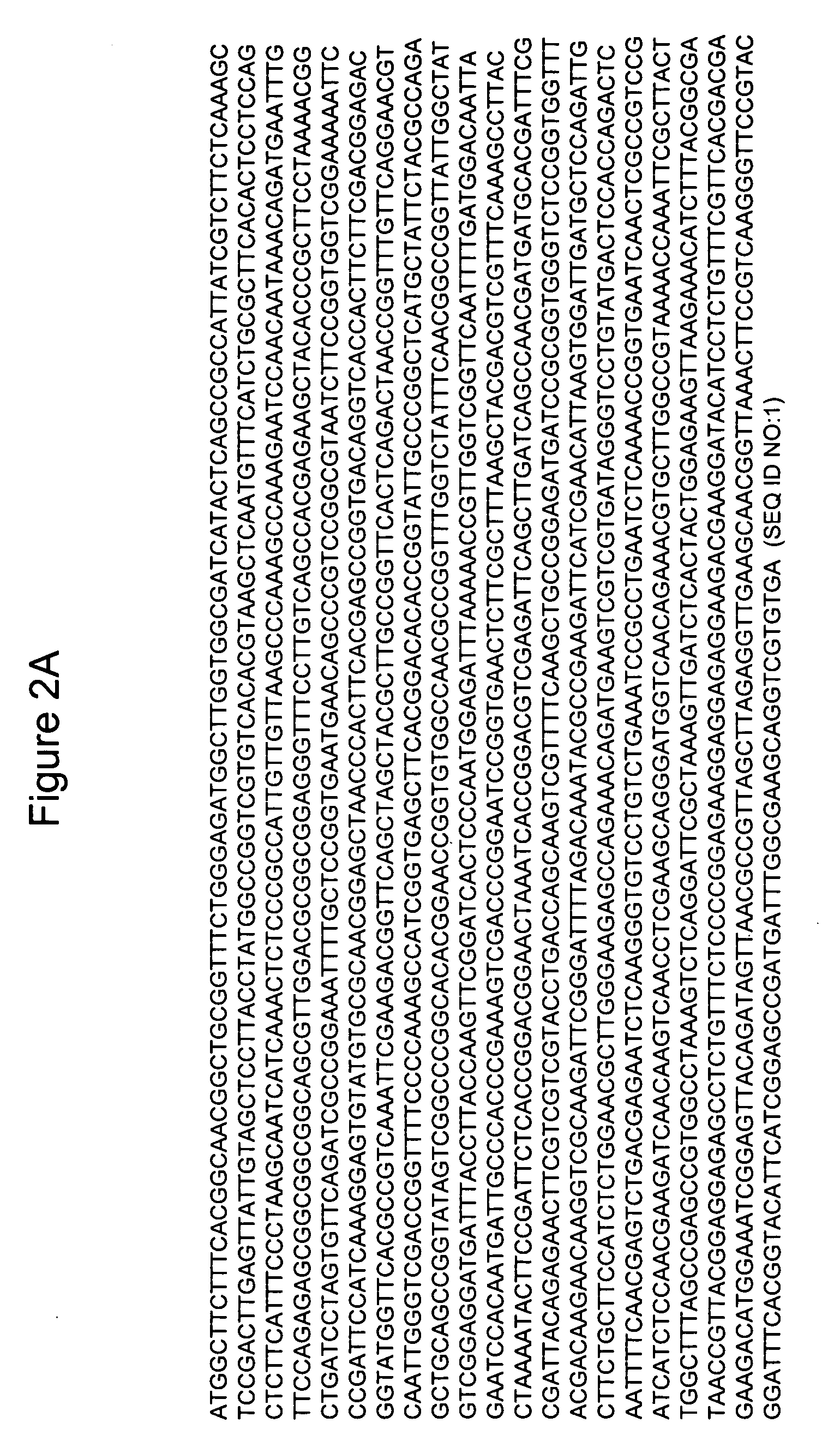 Methods and materials for improving plant drought tolerance