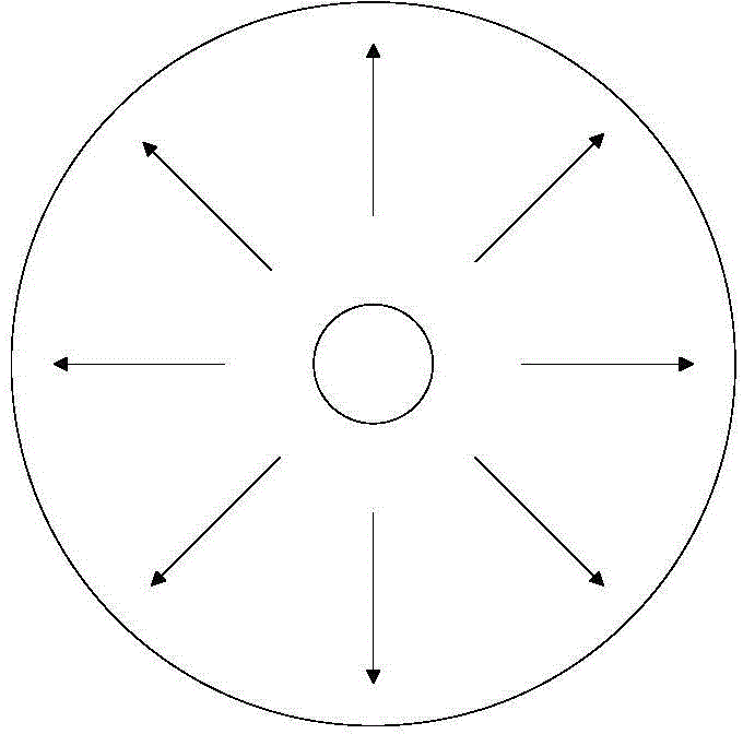 Generating device for radial polarized light