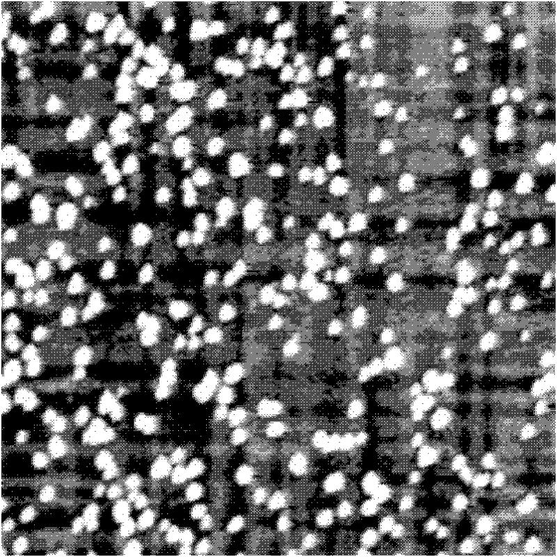 Epitaxial growth method of InGaN quantum dot and single photon source obtained thereby