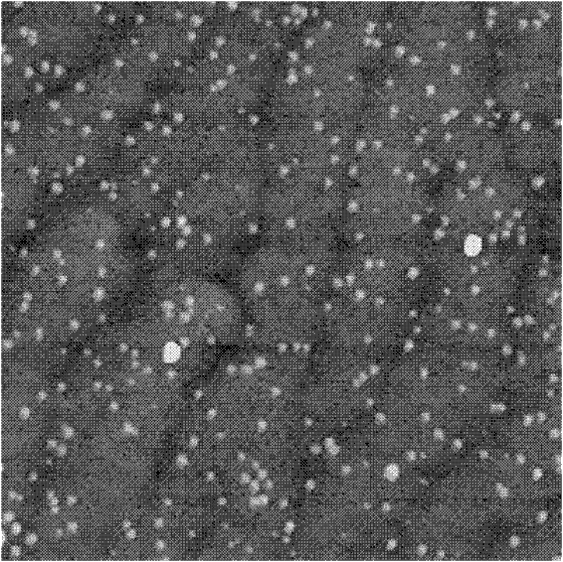 Epitaxial growth method of InGaN quantum dot and single photon source obtained thereby