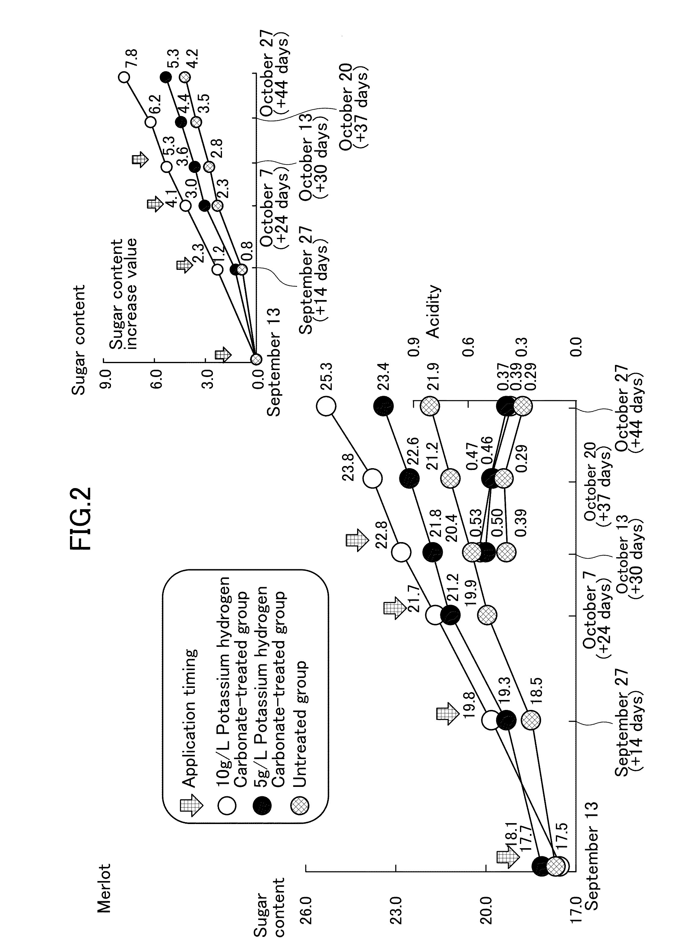 Agent for increasing sugar content in fruit