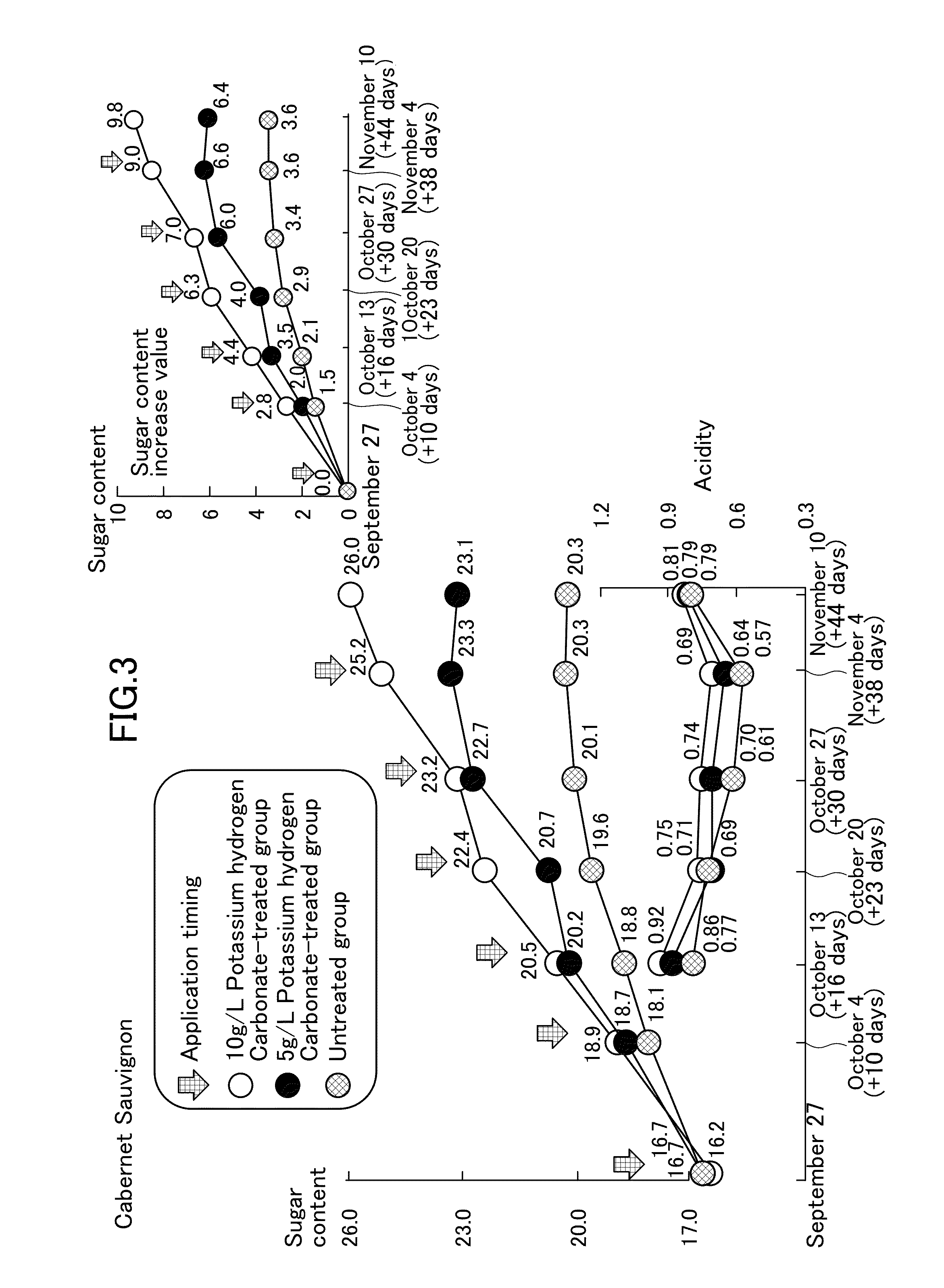 Agent for increasing sugar content in fruit