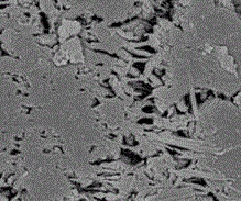 Preparation method of polyaniline/attapulgite conductive composite material