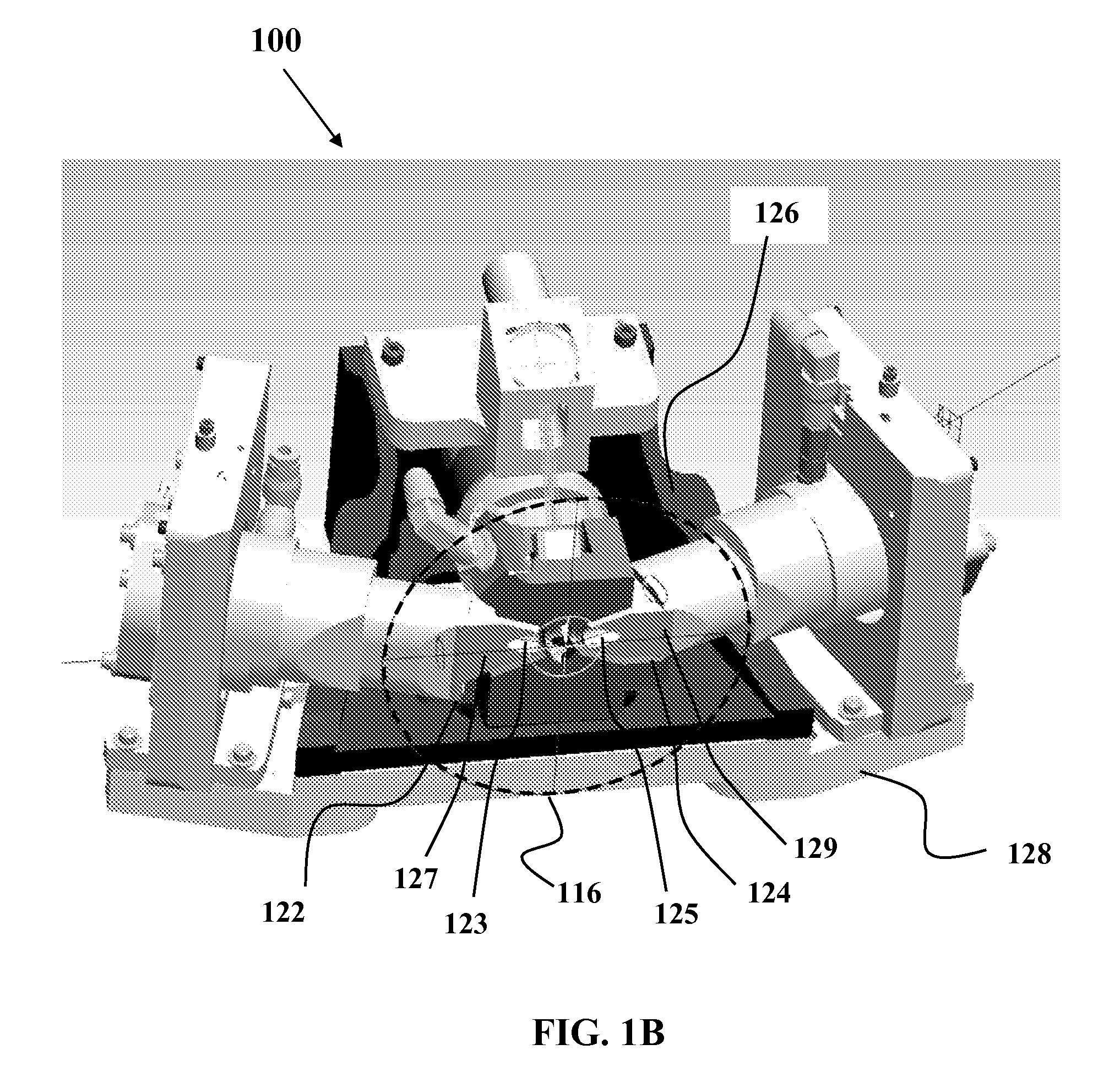 Gas purge system and methods