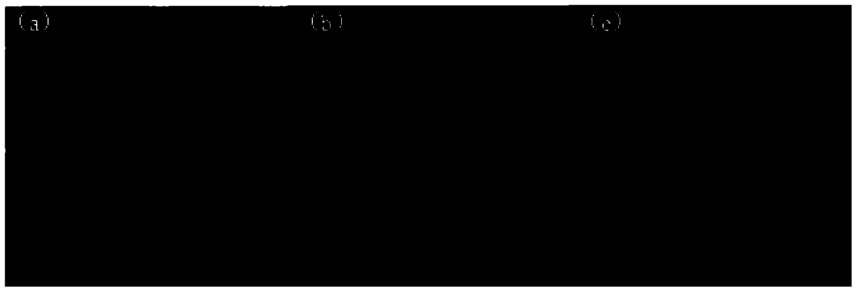 Preparation method for silver nano wire transparent conductive film capable of preventing corrosion of hydrogen sulfide gas