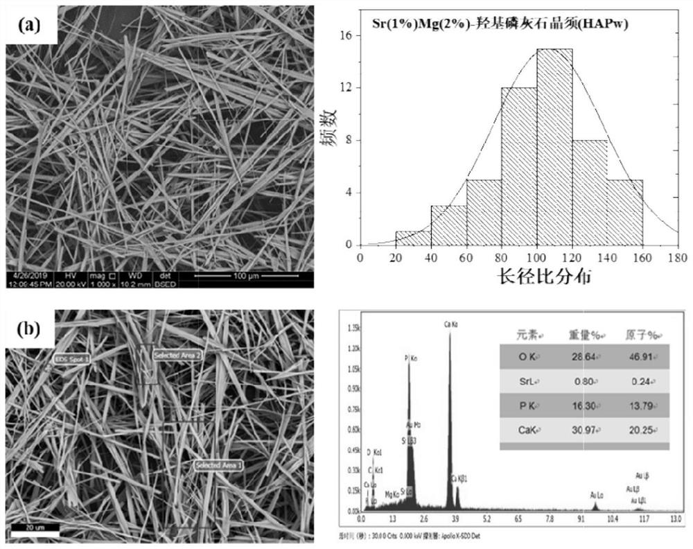 Novel composite bone cement with biological activity