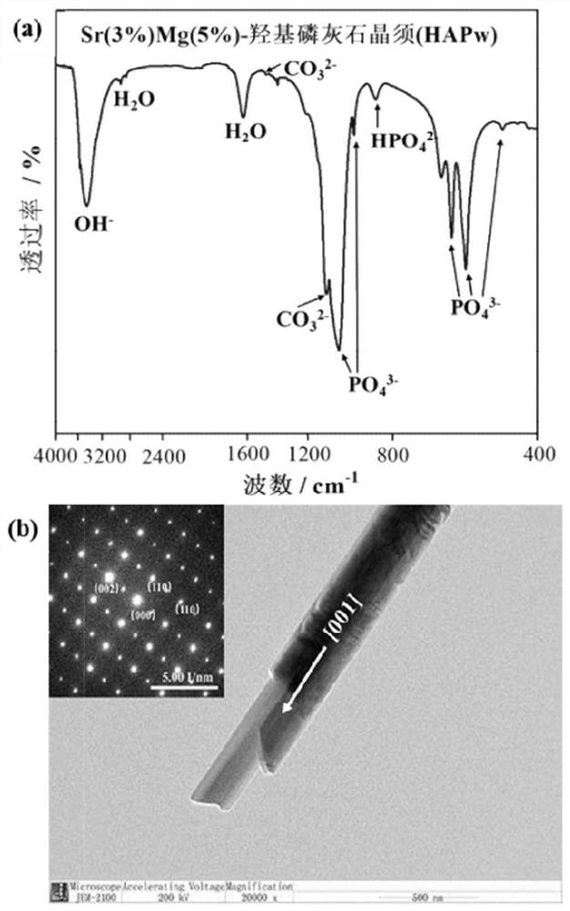 Novel composite bone cement with biological activity