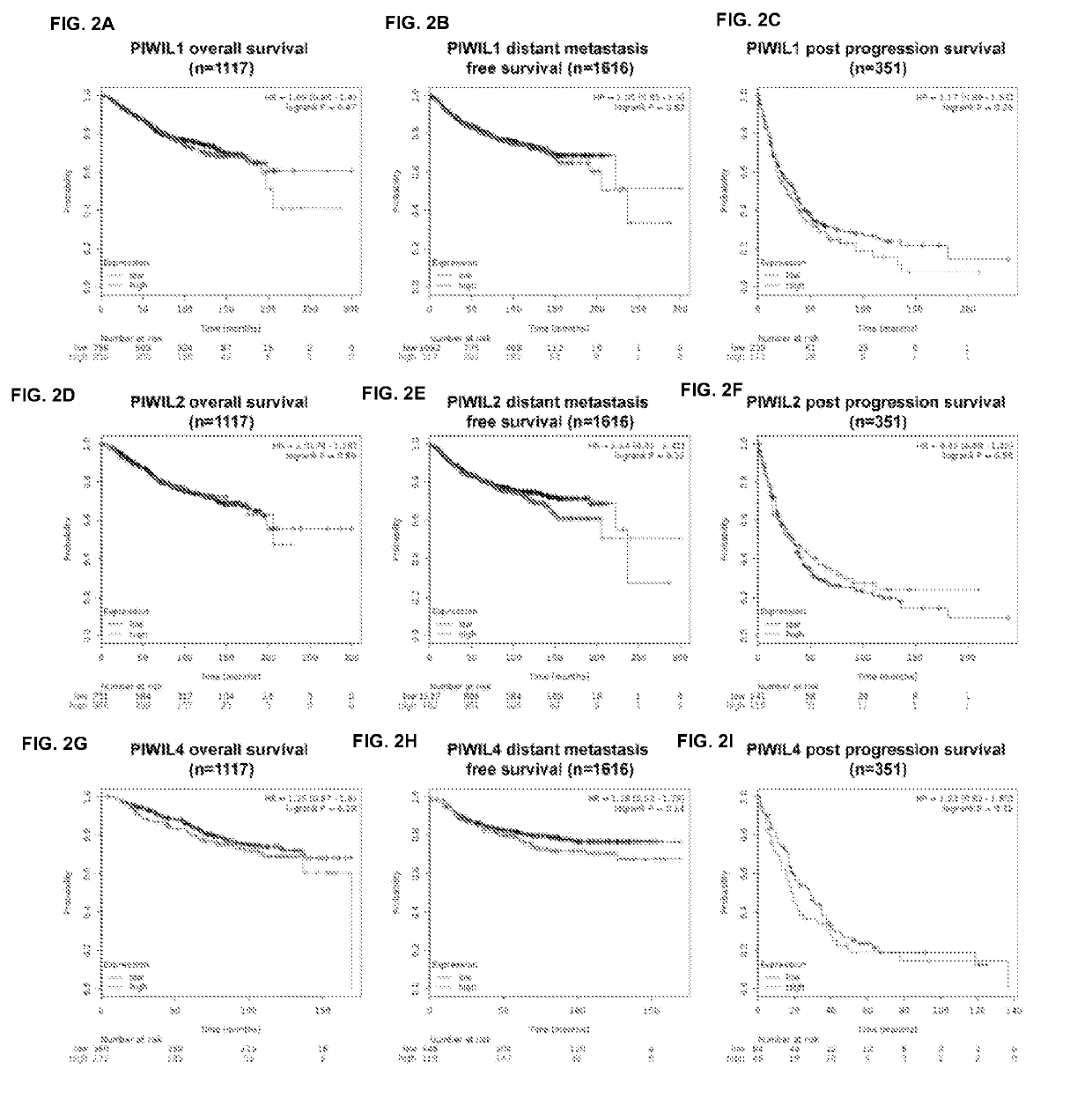 Compositions and Methods for Treating Cancer by Inhibiting PIWIL4