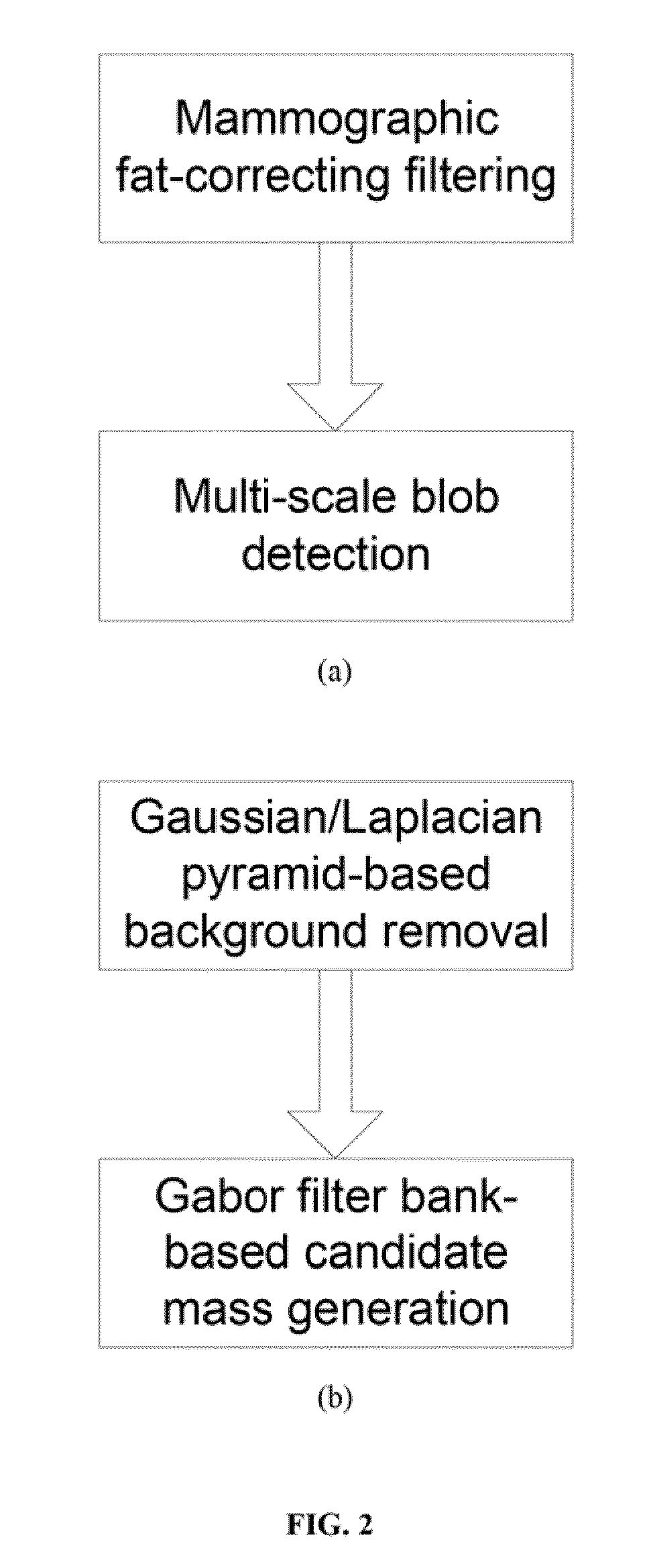 Method for Mass Candidate Detection and Segmentation in Digital Mammograms