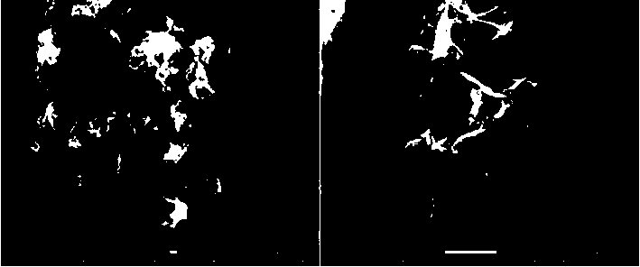 Method for synthesizing ZIF-8-based ternary composite ZnO/ZnCo2O4/NiO by solvothermal process and application of method