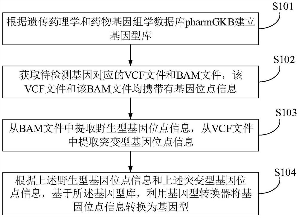 Genotype conversion method, device and electronic equipment