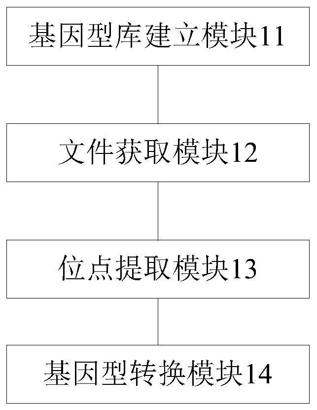 Genotype conversion method, device and electronic equipment