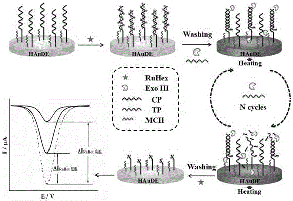 Temperature-controllable electrochemical DNA biosensor and preparation method thereof