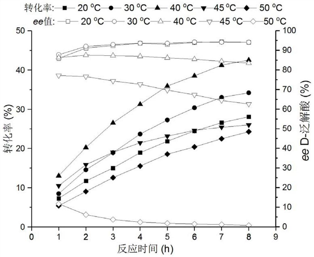 D-pantolactone hydrolase, producing bacteria and genetically engineered bacteria thereof, and applications of D-pantolactone hydrolase and producing bacteria and genetically engineered bacteria