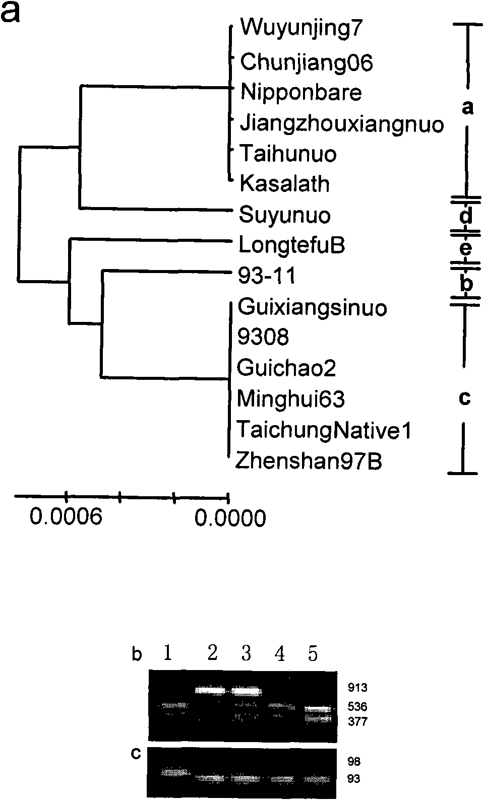 Molecular marker of gene for regulating gel consistency of rice and application thereof