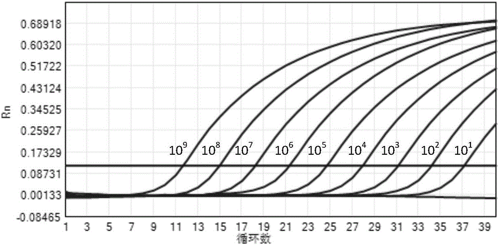 Real-time fluorescent PCR (polymerase chain reaction) kit for detecting swine Eperythrozoon in umbilical cord blood and application thereof