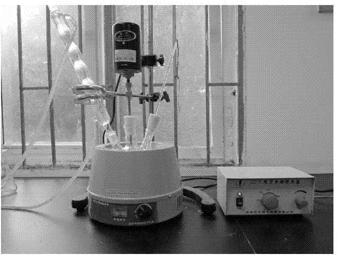 Biomass water-retaining agent suitable for mushroom fungus sticks and preparation method and application