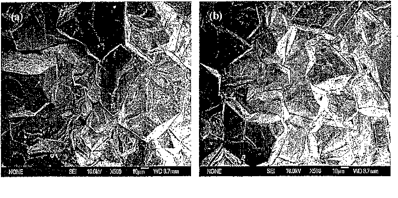 An anti-oxidation coating for steel and method of protecting steel from oxidation