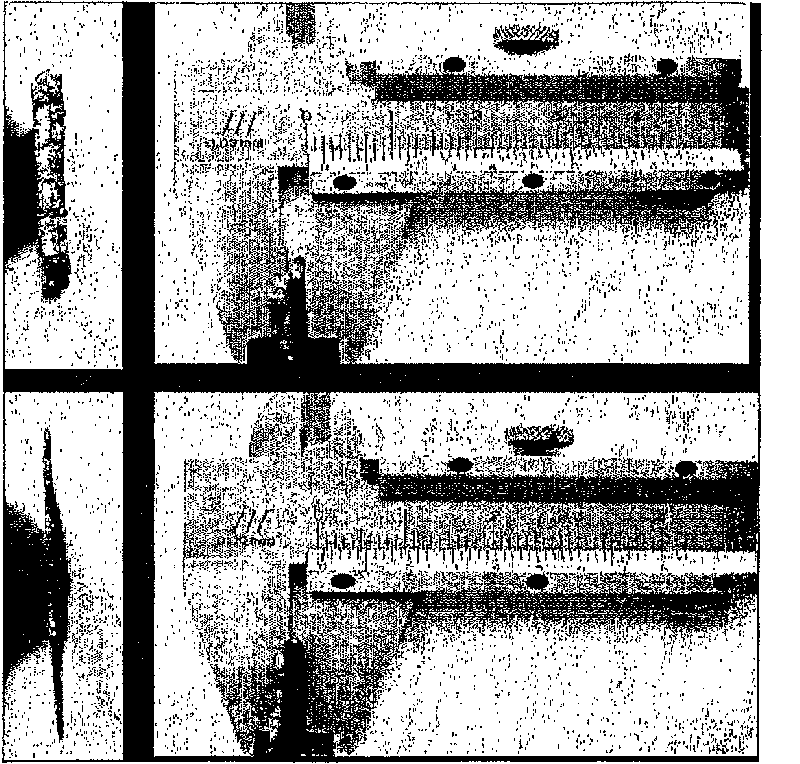 An anti-oxidation coating for steel and method of protecting steel from oxidation