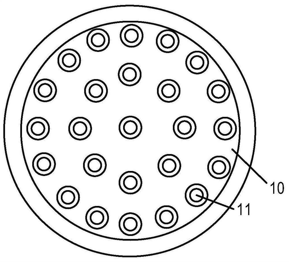 Film layer curing device