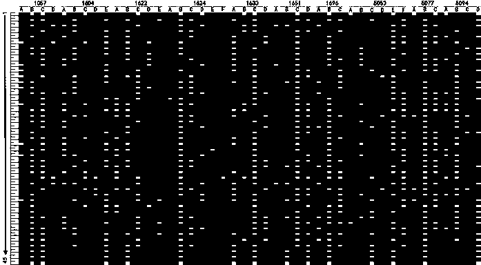 SSR (Simple Sequence Repeat) core primer group and method thereof for identifying tea variety