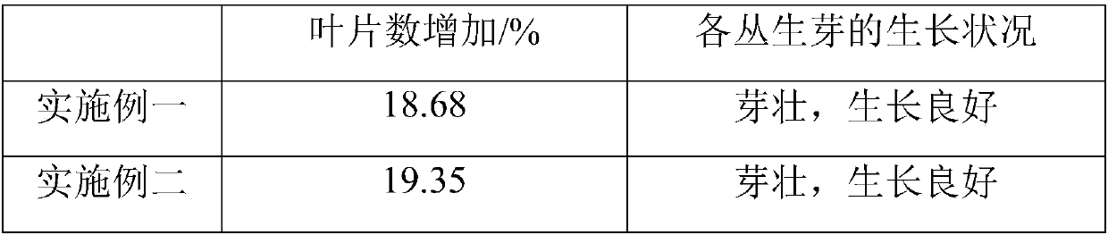 Meteorite multifunctional organic fertilizer and preparation method thereof