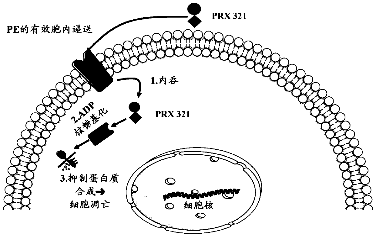 Il-4-fusion formulations for treatment of central nervous system (CNS) tumors