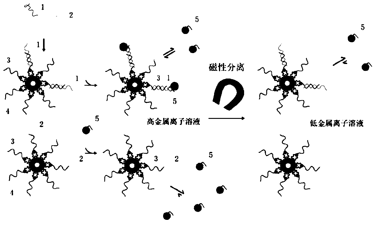 A single base mutation detection method