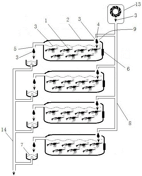 Chemical-free fish farming method and live fish in commercial packaging