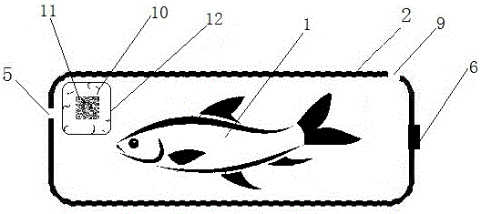 Chemical-free fish farming method and live fish in commercial packaging