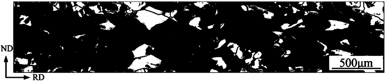 Preparation method of thin-strip continuous casting low-magnetic anisotropy non-oriented silicon steel