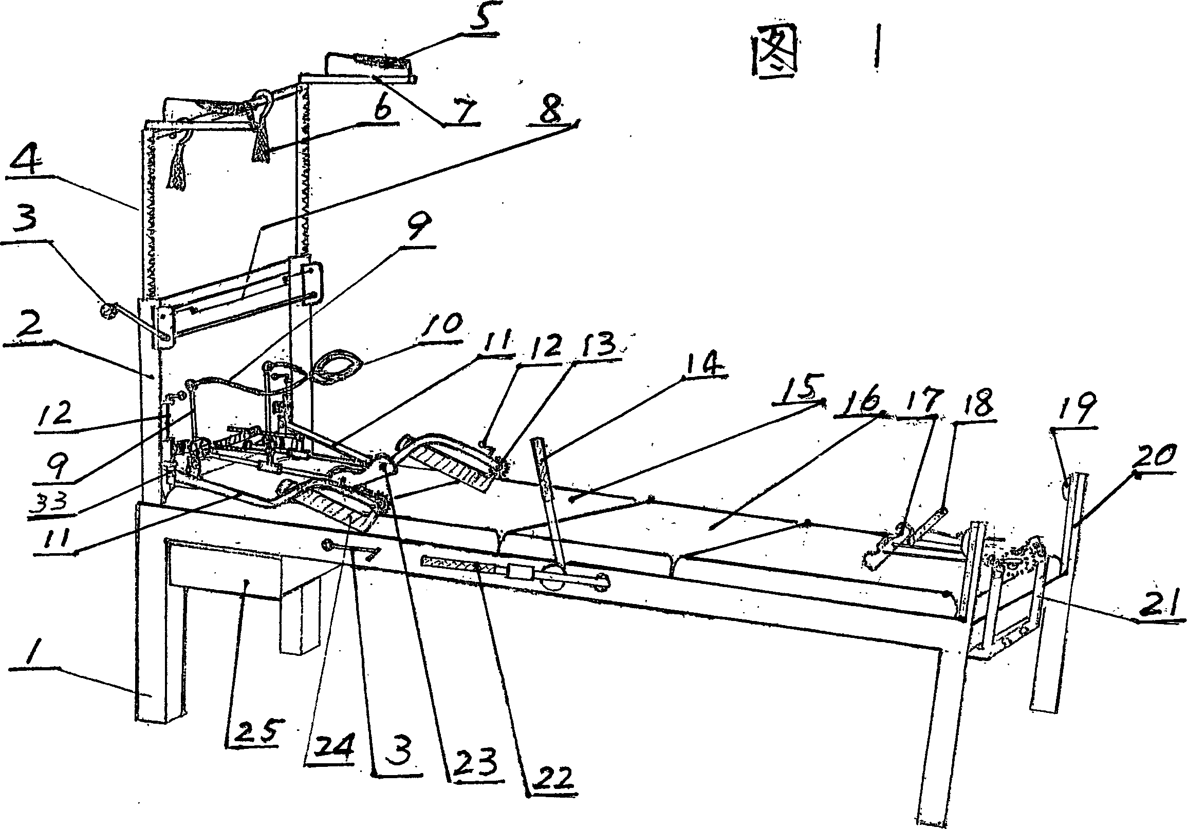 Tendons and bones physical therapeutic device