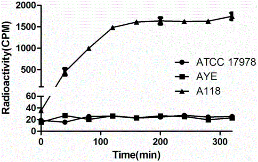 Primers, kit and method for detecting drug resistance of acinetobacter baumannii