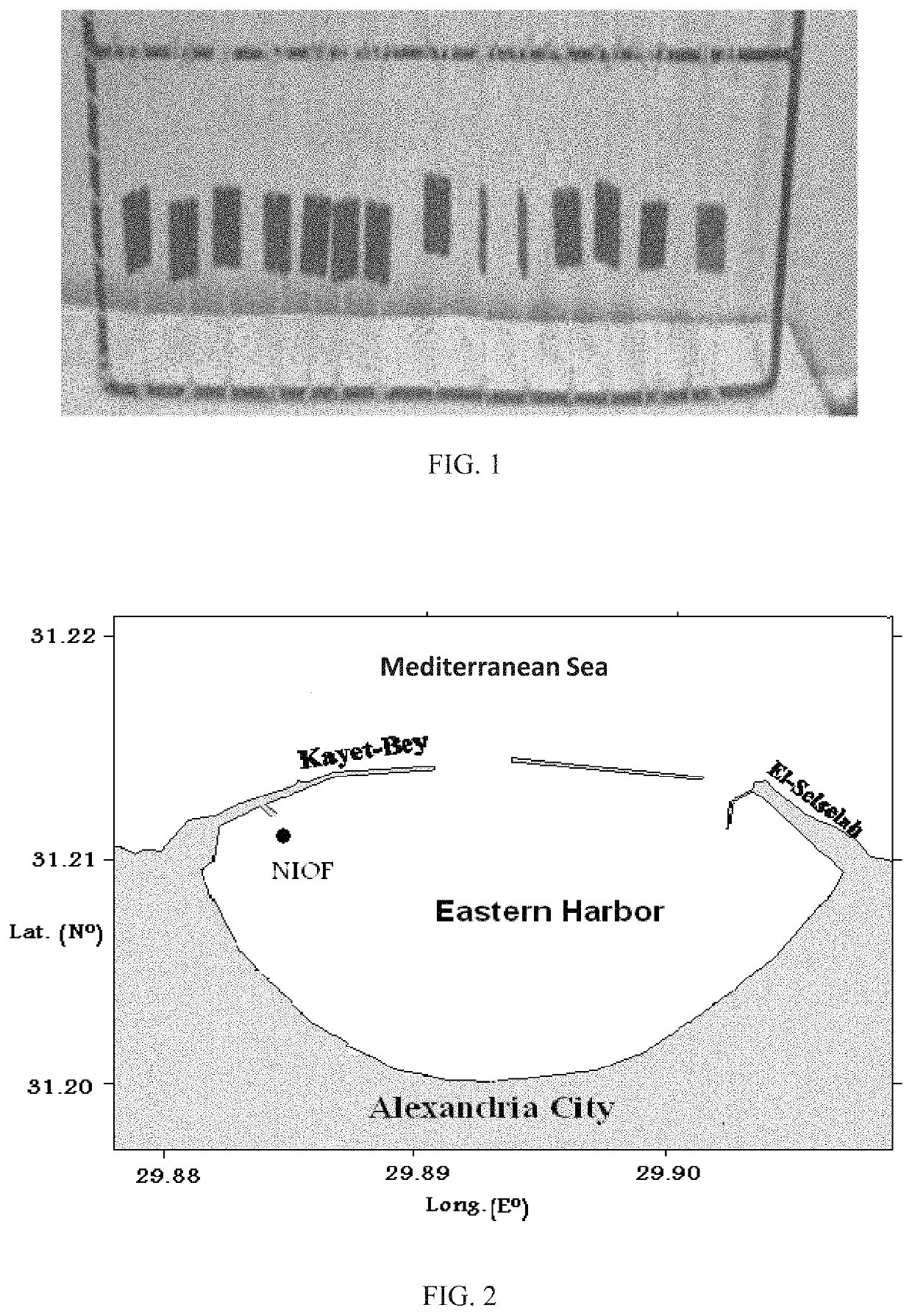 Marine natural products-based TiO<sub>2 </sub>nanoparticles as antifouling agents