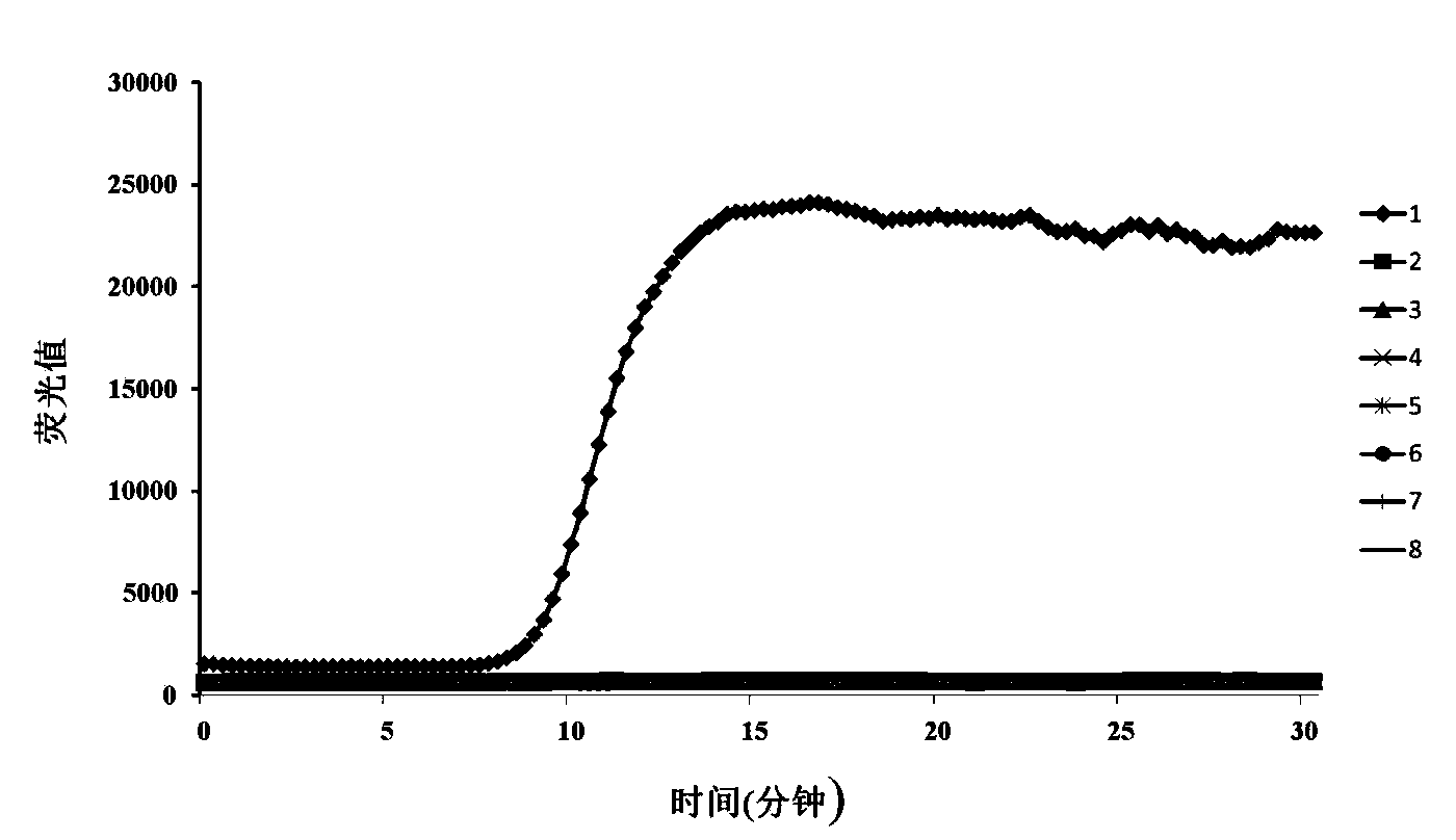 Method for quantitatively detecting ustilaginoidea virens from seed-borne and soil-borne media