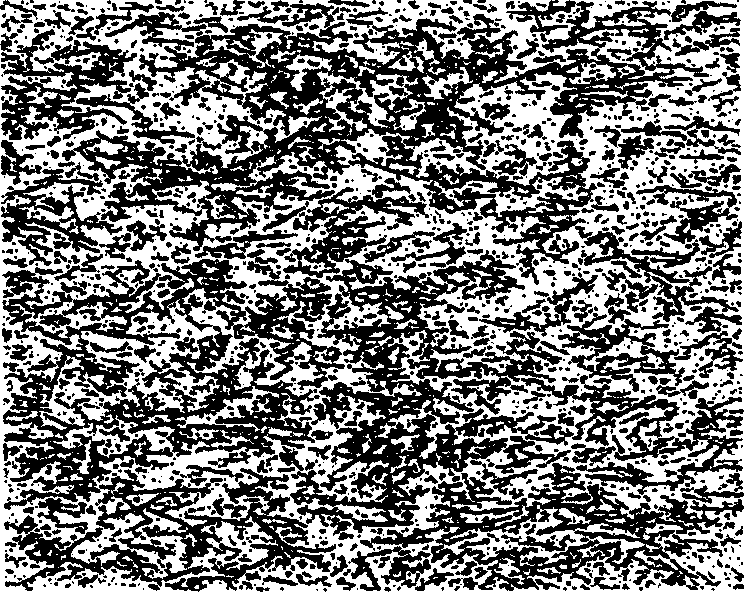 Inorganic whisper reinforced polyolefin composite material in-situ filled polymerization preparing method