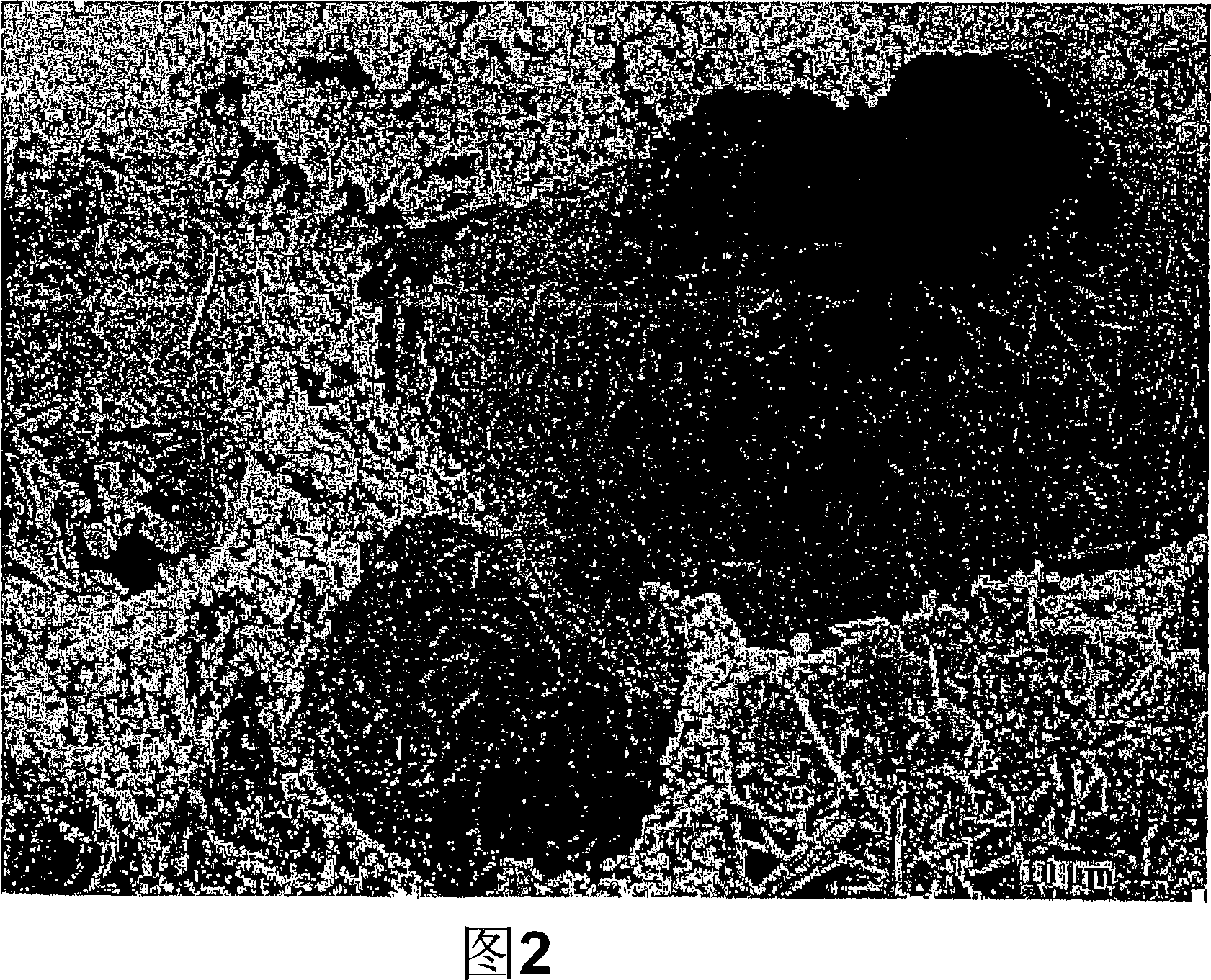 Porous particulate material for fluid treatment, cementitious composition and method of manufacture thereof