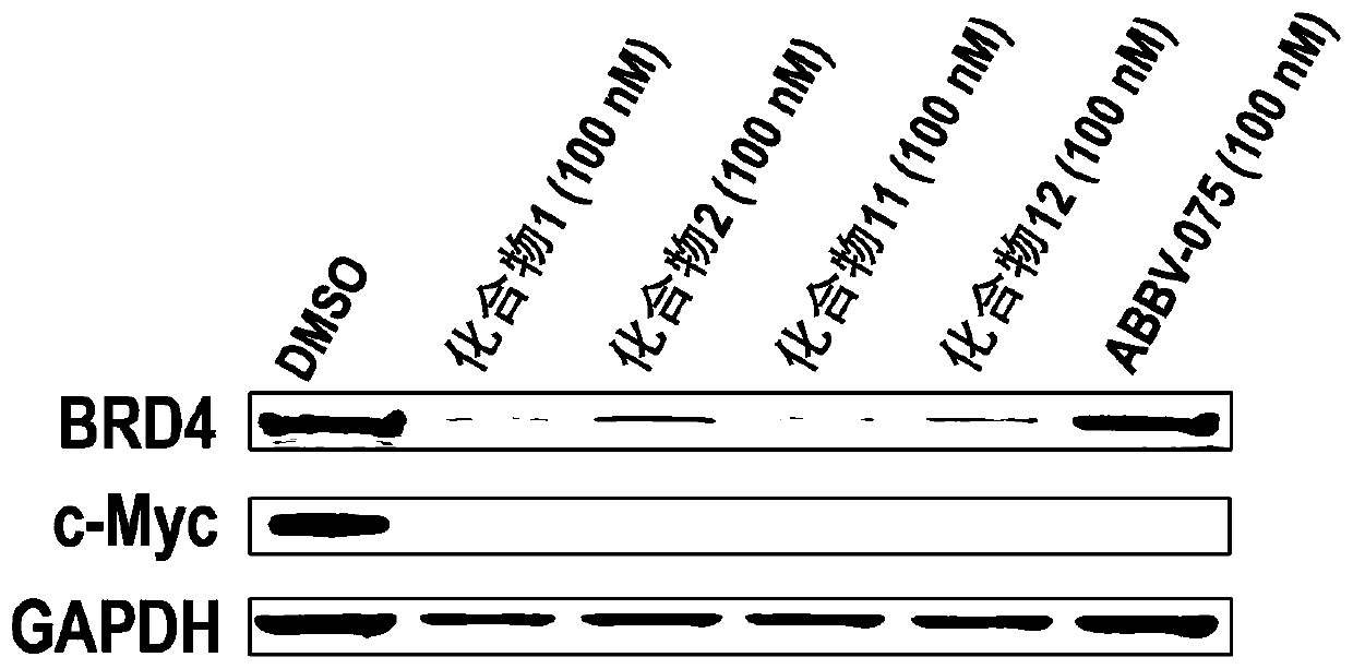 Pyrrolopyridone bifunctional molecular compound based on VHL ligand-induced BET degradation