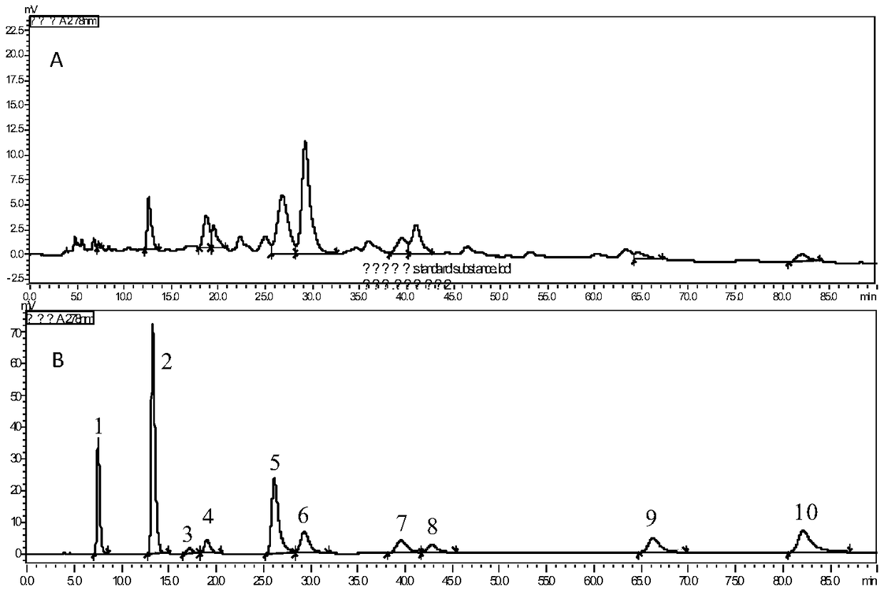 Wild debregeasia orientalis leaf extract and new applications thereof