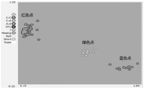 Molecular marker related with sheep tail fat weight and applications thereof