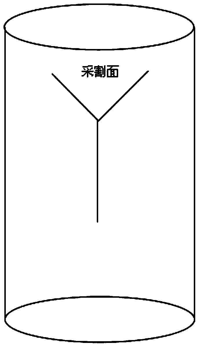 Masson pine 'paper pulp-rosin extraction' mode middle-term rosin extraction method