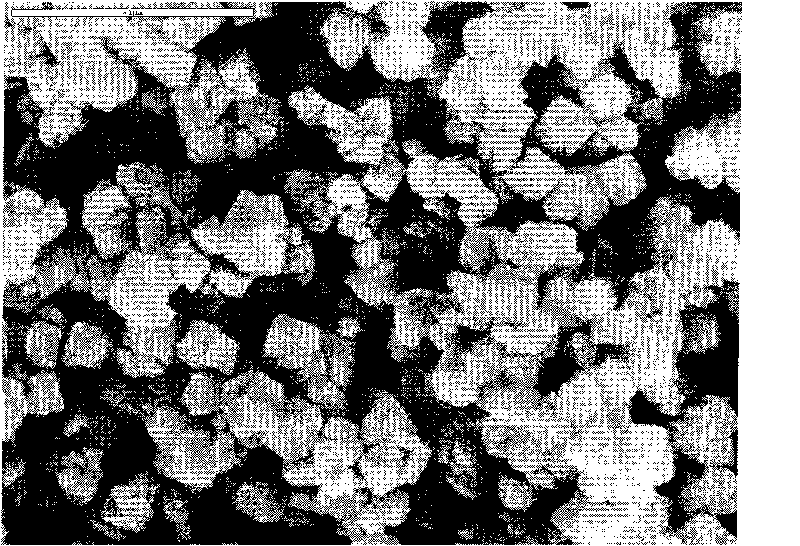 Small crystal grain Y-shaped molecular sieve and preparation method thereof